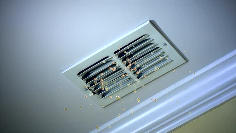 Best Best Air Duct Cleaning Company  in Yuba City, CA